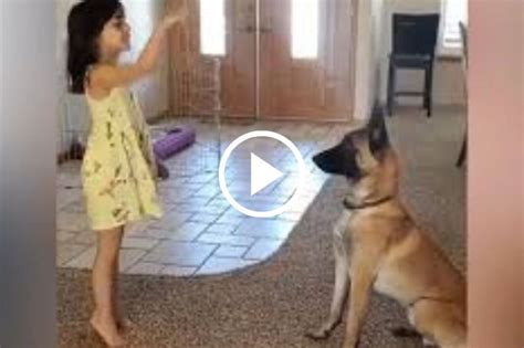 mujeres follando con perros|Impresionante perro se folla a una preciosa jovencita